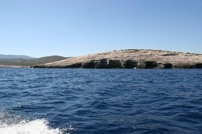 Vis                        1.jpg